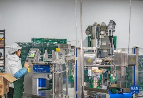 重慶城口 老臘肉 成鄉村特色致富 新產業